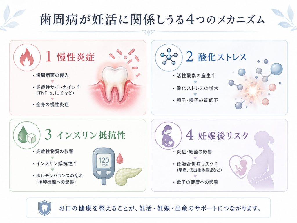 妊活中に歯医者へ行くべき理由~歯周病と不妊治療の意外な関係 5 d0b48e89 3443 4a6e a36f 27681fdec65a