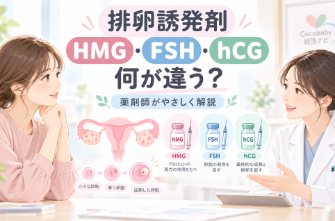 41fca65a cd49 4fa6 a82b fda5adba5ef9